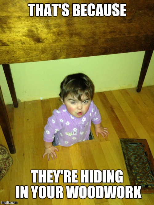 THAT'S BECAUSE THEY'RE HIDING IN YOUR WOODWORK | made w/ Imgflip meme maker