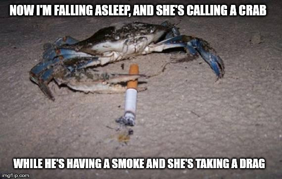 crab | NOW I'M FALLING ASLEEP, AND SHE'S CALLING A CRAB; WHILE HE'S HAVING A SMOKE
AND SHE'S TAKING A DRAG | image tagged in crab | made w/ Imgflip meme maker