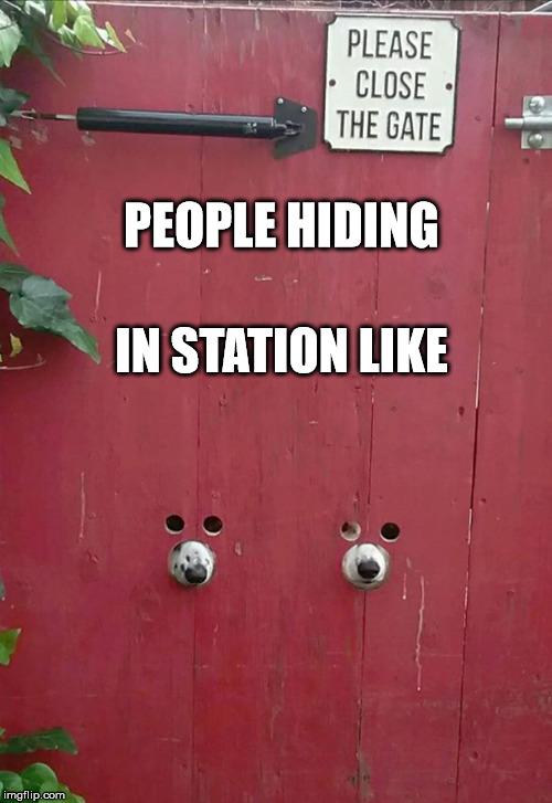 Stay Docked | IN STATION LIKE; PEOPLE HIDING | image tagged in from behind the wall,dog,gate,wall,hiding,eve | made w/ Imgflip meme maker