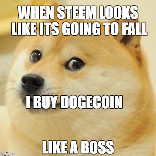 Doge Meme | WHEN STEEM LOOKS LIKE ITS GOING TO FALL; I BUY DOGECOIN; LIKE A BOSS | image tagged in memes,doge | made w/ Imgflip meme maker