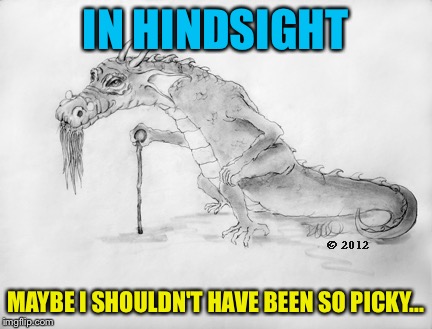 IN HINDSIGHT MAYBE I SHOULDN'T HAVE BEEN SO PICKY... | made w/ Imgflip meme maker