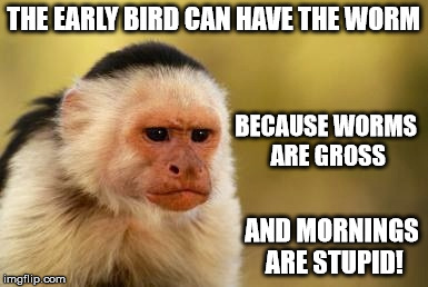 Grumpy Capuchin | THE EARLY BIRD CAN HAVE THE WORM; BECAUSE WORMS ARE GROSS; AND MORNINGS ARE STUPID! | image tagged in grumpy capuchin | made w/ Imgflip meme maker