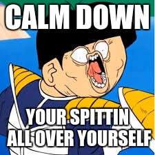 gohan spaz | CALM DOWN; YOUR SPITTIN ALL OVER YOURSELF | image tagged in dragonballz | made w/ Imgflip meme maker