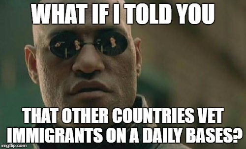 Matrix Morpheus | WHAT IF I TOLD YOU; THAT OTHER COUNTRIES VET IMMIGRANTS ON A DAILY BASES? | image tagged in memes,matrix morpheus,travel ban,extreme vetting,election 2016 | made w/ Imgflip meme maker
