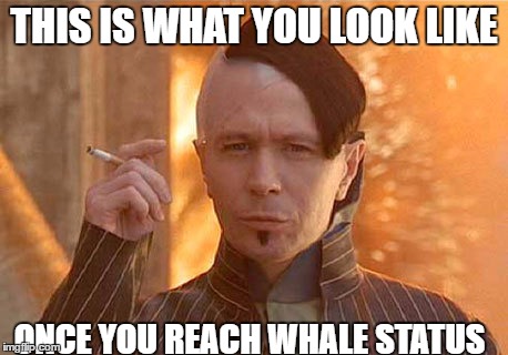 Zorg Meme | THIS IS WHAT YOU LOOK LIKE; ONCE YOU REACH WHALE STATUS | image tagged in memes,zorg | made w/ Imgflip meme maker