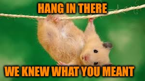 HANG IN THERE WE KNEW WHAT YOU MEANT | made w/ Imgflip meme maker