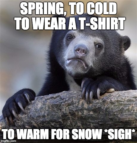 Confession Bear Meme | SPRING, TO COLD TO WEAR A T-SHIRT; TO WARM FOR SNOW *SIGH* | image tagged in memes,confession bear,spring | made w/ Imgflip meme maker