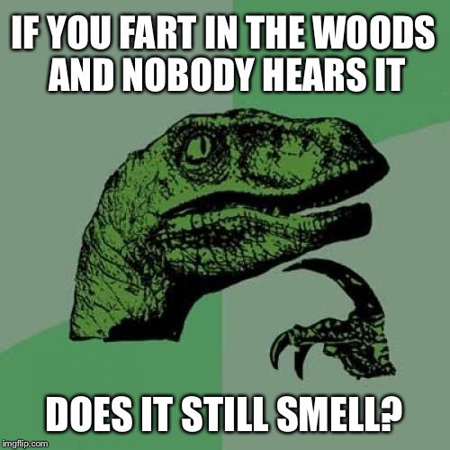 Does anybody know the answer? | IF YOU FART IN THE WOODS AND NOBODY HEARS IT; DOES IT STILL SMELL? | image tagged in memes,philosoraptor,fart,smell | made w/ Imgflip meme maker