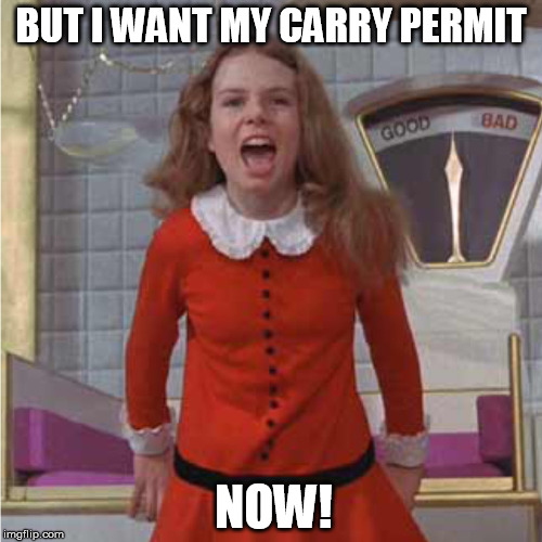 Veruca Salt | BUT I WANT MY CARRY PERMIT; NOW! | image tagged in veruca salt | made w/ Imgflip meme maker