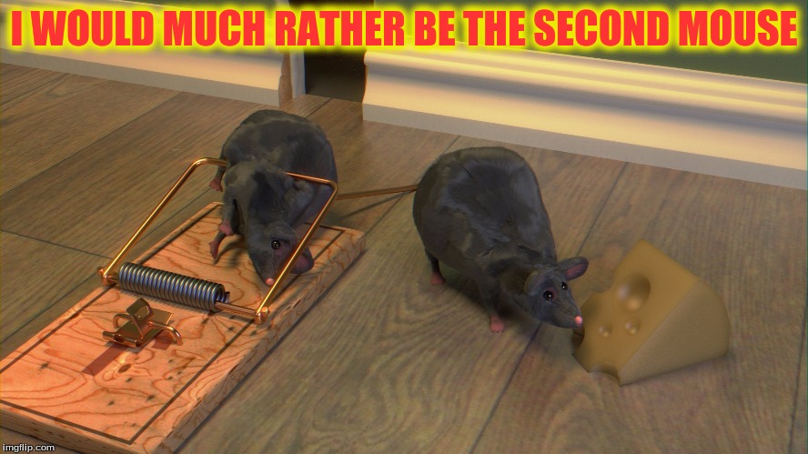 I WOULD MUCH RATHER BE THE SECOND MOUSE | made w/ Imgflip meme maker