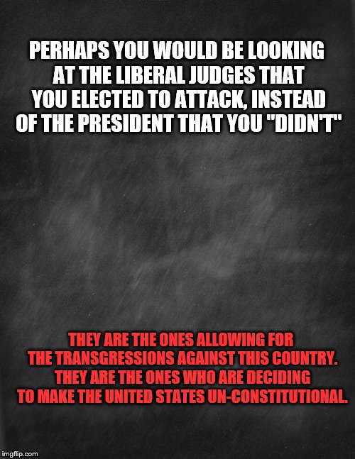 black blank | PERHAPS YOU WOULD BE LOOKING AT THE LIBERAL JUDGES THAT YOU ELECTED TO ATTACK, INSTEAD OF THE PRESIDENT THAT YOU "DIDN'T"; THEY ARE THE ONES ALLOWING FOR THE TRANSGRESSIONS AGAINST THIS COUNTRY. THEY ARE THE ONES WHO ARE DECIDING TO MAKE THE UNITED STATES UN-CONSTITUTIONAL. | image tagged in black blank | made w/ Imgflip meme maker