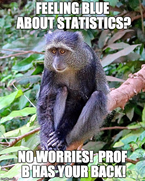 FEELING BLUE ABOUT STATISTICS? NO WORRIES!  PROF B HAS YOUR BACK! | image tagged in feelingblue | made w/ Imgflip meme maker