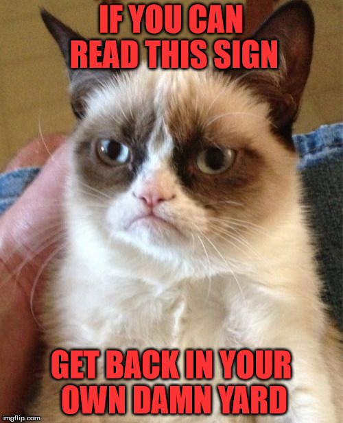 Grumpy Cat Meme | IF YOU CAN READ THIS SIGN GET BACK IN YOUR OWN DAMN YARD | image tagged in memes,grumpy cat | made w/ Imgflip meme maker