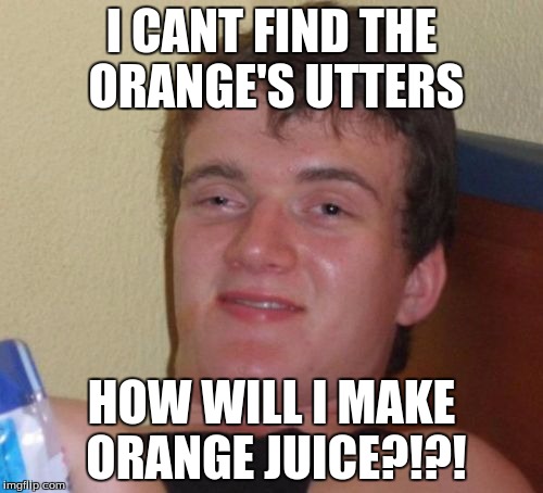 10 Guy Meme | I CANT FIND THE ORANGE'S UTTERS; HOW WILL I MAKE ORANGE JUICE?!?! | image tagged in memes,10 guy | made w/ Imgflip meme maker