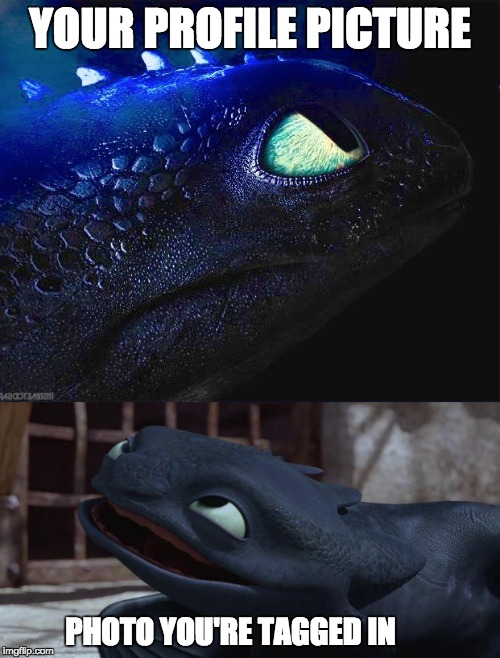 YOUR PROFILE PICTURE; PHOTO YOU'RE TAGGED IN | image tagged in toothless,how to train your dragon | made w/ Imgflip meme maker