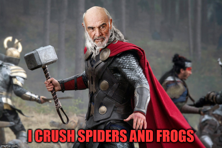 I CRUSH SPIDERS AND FROGS | made w/ Imgflip meme maker