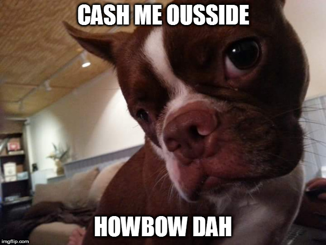 CASH ME OUSSIDE; HOWBOW DAH | image tagged in cash me ousside | made w/ Imgflip meme maker