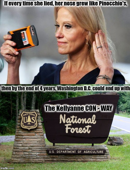 Kellyanne Conway National Forest | If every time she lied, her nose grew like Pinocchio's, then by the end of 4 years, Washington D.C. could end up with; The Kellyanne CON - WAY | image tagged in kellyanne conway,kellyanne conway alternative facts,washington dc,resist | made w/ Imgflip meme maker
