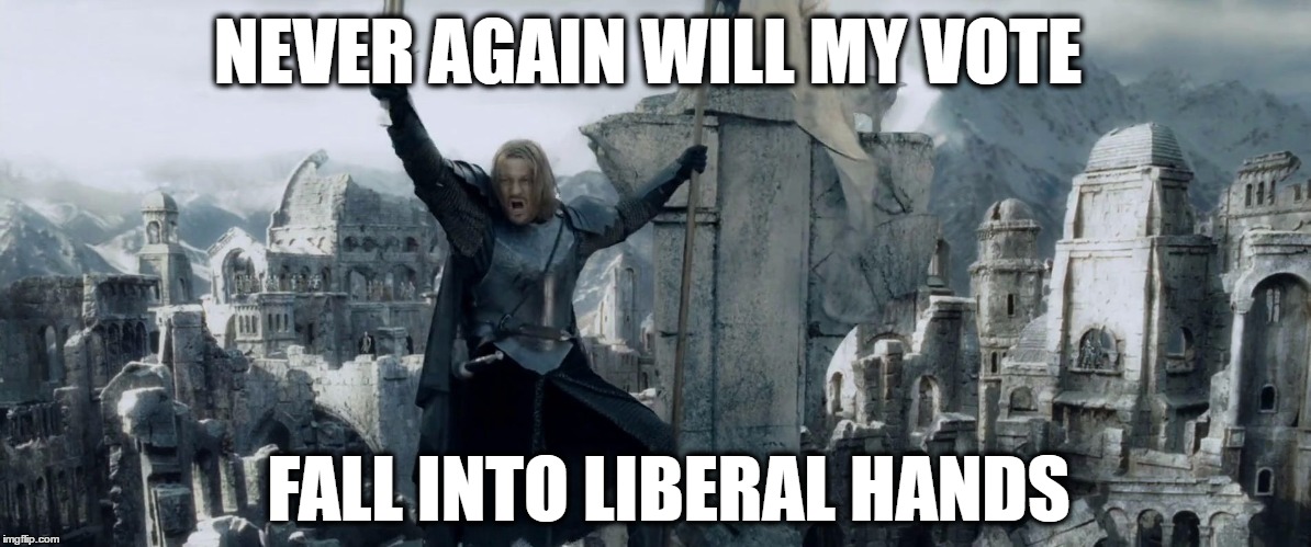 NEVER AGAIN WILL MY VOTE; FALL INTO LIBERAL HANDS | image tagged in never again | made w/ Imgflip meme maker