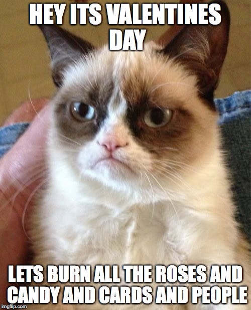 Grumpy Cat Meme | HEY ITS VALENTINES DAY; LETS BURN ALL THE ROSES AND CANDY AND CARDS AND PEOPLE | image tagged in memes,grumpy cat | made w/ Imgflip meme maker