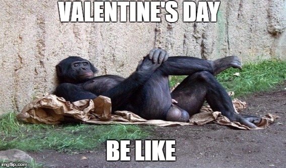 VALENTINE'S DAY; BE LIKE | image tagged in meme | made w/ Imgflip meme maker