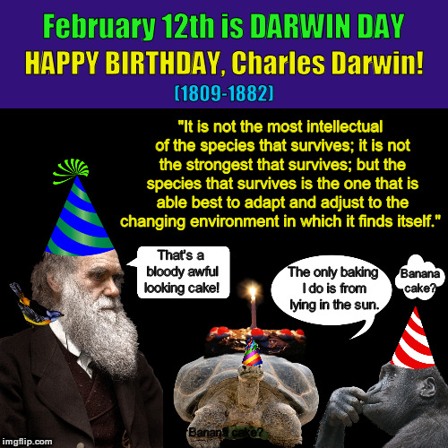 February 12th is DARWIN DAY - Happy Birthday, Charles Darwin | Banana cake? | image tagged in darwin day,charles darwin,evolution,happy birthday,funny,memes | made w/ Imgflip meme maker