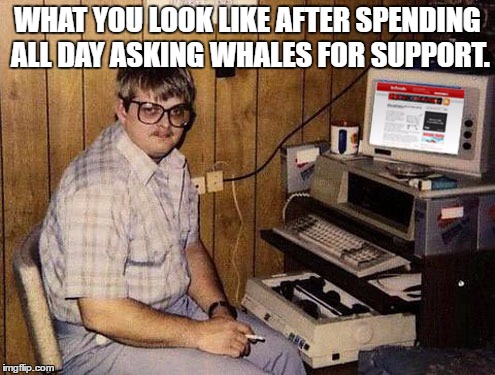 Internet Guide Meme | WHAT YOU LOOK LIKE AFTER SPENDING ALL DAY ASKING WHALES FOR SUPPORT. | image tagged in memes,internet guide | made w/ Imgflip meme maker