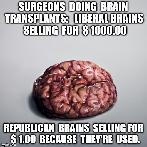 Brainsssss | SURGEONS  DOING  BRAIN TRANSPLANTS: 

LIBERAL BRAINS  SELLING  FOR  $ 1000.00; REPUBLICAN  BRAINS  SELLING FOR  $ 1.00  BECAUSE  THEY'RE  USED. | image tagged in brainsssss | made w/ Imgflip meme maker
