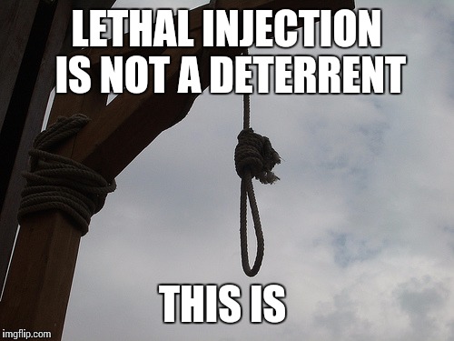 Deterrent  | LETHAL INJECTION IS NOT A DETERRENT; THIS IS | image tagged in gallows,memes | made w/ Imgflip meme maker