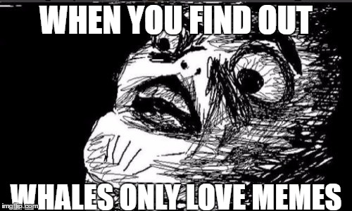 Gasp Rage Face Meme | WHEN YOU FIND OUT; WHALES ONLY LOVE MEMES | image tagged in memes,gasp rage face | made w/ Imgflip meme maker