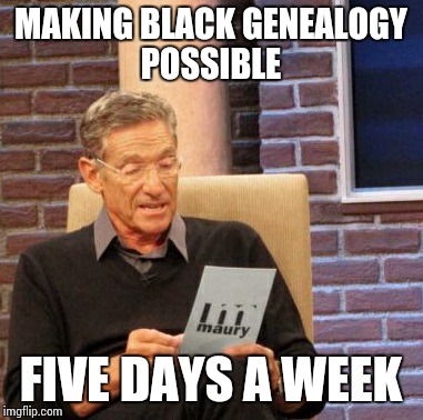 Maury Lie Detector Meme | MAKING BLACK GENEALOGY POSSIBLE; FIVE DAYS A WEEK | image tagged in memes,maury lie detector | made w/ Imgflip meme maker