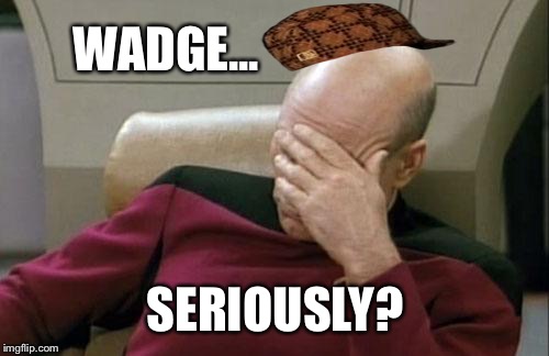 Captain Picard Facepalm Meme | WADGE... SERIOUSLY? | image tagged in memes,captain picard facepalm,scumbag | made w/ Imgflip meme maker