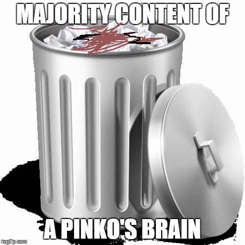 Trash can full | MAJORITY CONTENT OF; A PINKO'S BRAIN | image tagged in trash can full,pinko,fools,memes | made w/ Imgflip meme maker