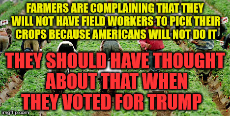 Immigrants | FARMERS ARE COMPLAINING THAT THEY WILL NOT HAVE FIELD WORKERS TO PICK THEIR CROPS BECAUSE AMERICANS WILL NOT DO IT; THEY SHOULD HAVE THOUGHT ABOUT THAT WHEN THEY VOTED FOR TRUMP | image tagged in immigrants | made w/ Imgflip meme maker