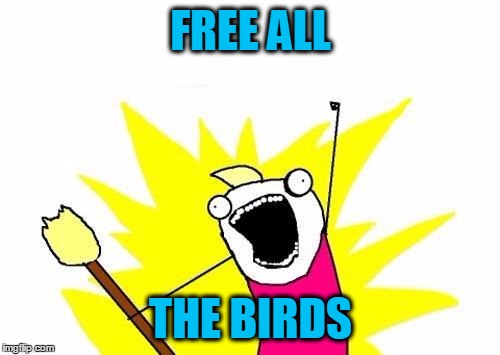 X All The Y Meme | FREE ALL THE BIRDS | image tagged in memes,x all the y | made w/ Imgflip meme maker