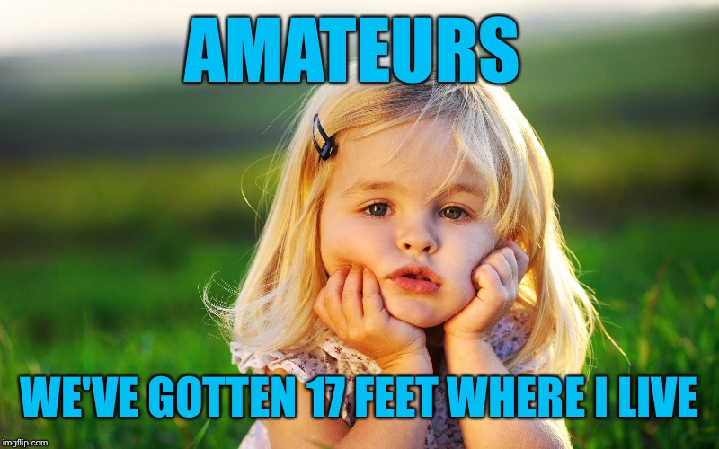 AMATEURS WE'VE GOTTEN 17 FEET WHERE I LIVE | made w/ Imgflip meme maker