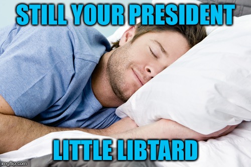 Trump Zen | STILL YOUR PRESIDENT LITTLE LIBTARD | image tagged in trump zen | made w/ Imgflip meme maker