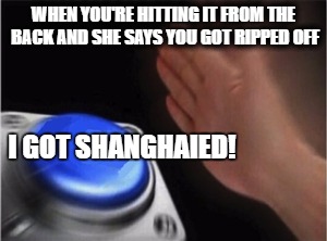 Blank Nut Button Meme | WHEN YOU'RE HITTING IT FROM THE BACK AND SHE SAYS YOU GOT RIPPED OFF; I GOT SHANGHAIED! | image tagged in blank nut button | made w/ Imgflip meme maker