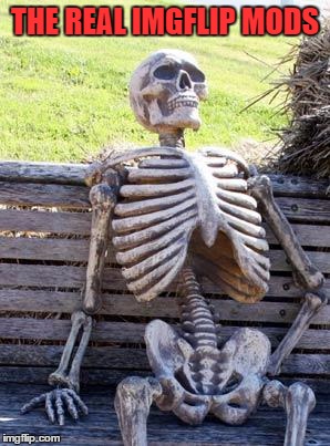 Waiting Skeleton Meme | THE REAL IMGFLIP MODS | image tagged in memes,waiting skeleton | made w/ Imgflip meme maker