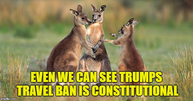 Kangaroo Court | EVEN WE CAN SEE TRUMPS TRAVEL BAN IS CONSTITUTIONAL | image tagged in 9th circus,constitutional awareness,extreme vetting | made w/ Imgflip meme maker