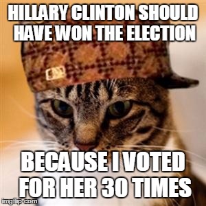 Scumbag Cat | HILLARY CLINTON SHOULD HAVE WON THE ELECTION; BECAUSE I VOTED FOR HER 30 TIMES | image tagged in scumbag cat | made w/ Imgflip meme maker