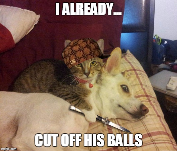 cat, dog & knife | I ALREADY... CUT OFF HIS BALLS | image tagged in scumbag,cat dog & knife | made w/ Imgflip meme maker