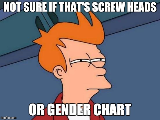 Futurama Fry Meme | NOT SURE IF THAT'S SCREW HEADS OR GENDER CHART | image tagged in memes,futurama fry | made w/ Imgflip meme maker