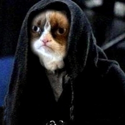 High Quality Grumpy Cat Star Wars Blank Meme Template