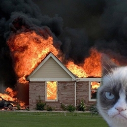 High Quality Disaster Grumpy Cat Blank Meme Template