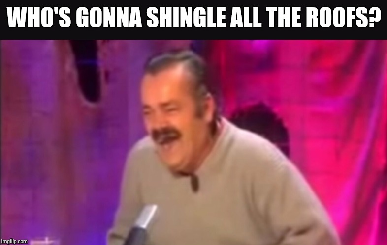 WHO'S GONNA SHINGLE ALL THE ROOFS? | image tagged in trump,build the wall,dank memes,funny memes | made w/ Imgflip meme maker