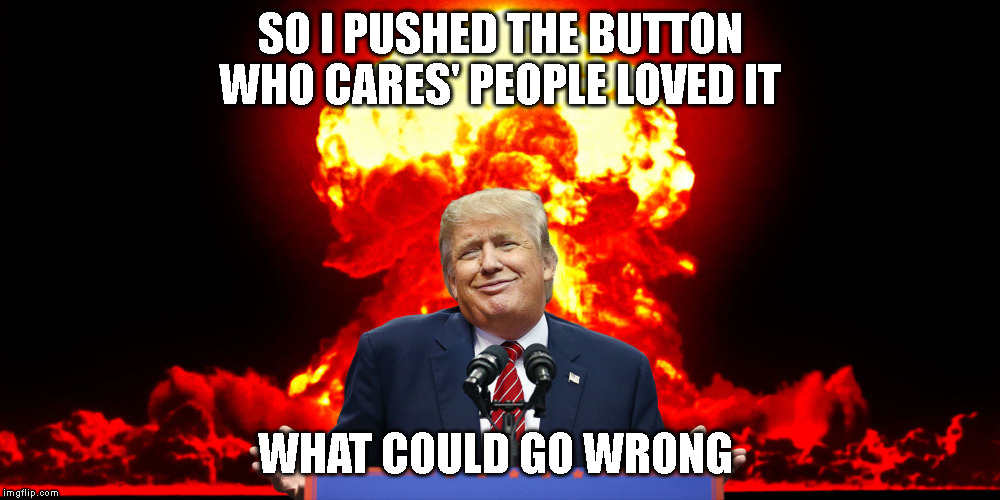 SO I PUSHED THE BUTTON WHO CARES' PEOPLE LOVED IT; WHAT COULD GO WRONG | image tagged in donald trump | made w/ Imgflip meme maker
