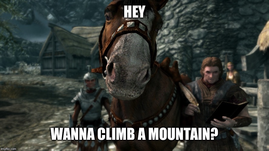 HEY; WANNA CLIMB A MOUNTAIN? | image tagged in skyrim horse | made w/ Imgflip meme maker