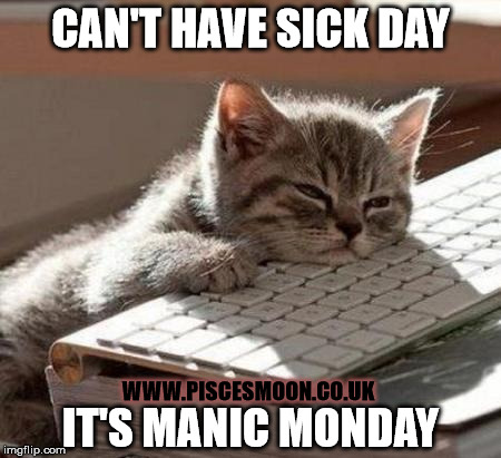 Manic Monday Sick Day | CAN'T HAVE SICK DAY; WWW.PISCESMOON.CO.UK; IT'S MANIC MONDAY | image tagged in tired cat,manic monday,sick,sickness | made w/ Imgflip meme maker