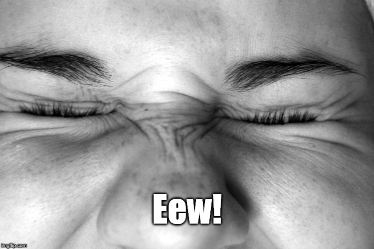 Ewww, I can't watch. | Eew! | image tagged in ewww i can't watch. | made w/ Imgflip meme maker